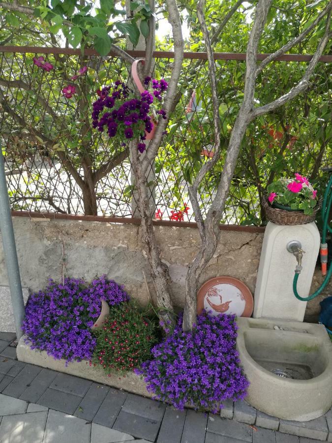 זאדאר Apartment Vesna מראה חיצוני תמונה