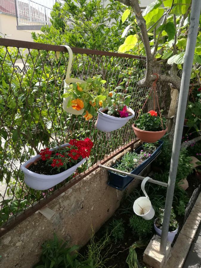 זאדאר Apartment Vesna מראה חיצוני תמונה